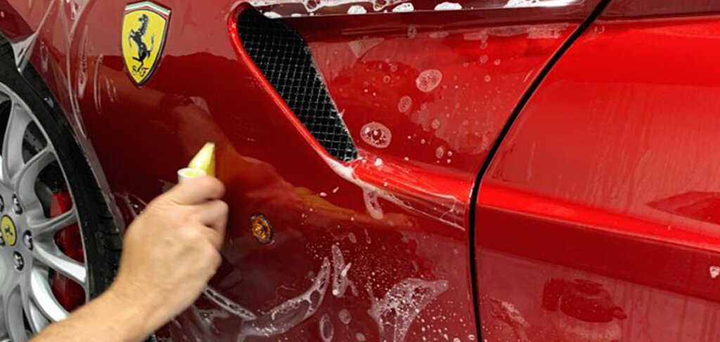paint protection longwood